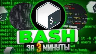 BASH - Лучший Командный Интерпретатор за 3 минуты