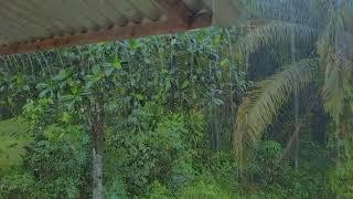 THE RAIN l suara hujan