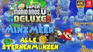 New Super Mario Bros. U Deluxe I Alle Sternenmünzen in Welt 3: Minzmeer  100% Guide [Switch]