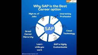 Why SAP is the Best Career option