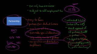 Comparing Business Entity Types