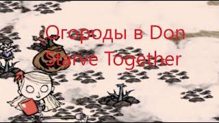 грядки и посевы Don't Starve Together