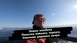 Ловим камбалу, пытаемся поймать терпуга, спасение рядового якоря