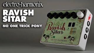 Electro-Harmonix Ravish Sitar Emulator "No One Trick Pony" (Guitar Effects Pedal)