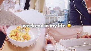  diaries | busy weekend  cooking , daiso haul