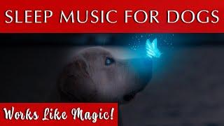 Sleep Music for Dogs Black Screen | 432Hz Tuning