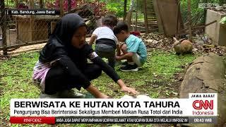 Serunya Wisata Taman Hutan Kota Raya Ir. H Djuanda Kota Bandung