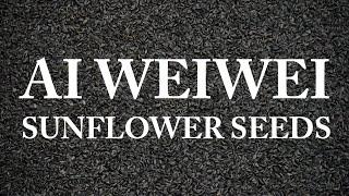 What Can Ai Weiwei's Sunflower Seeds Tell Us About Individuality?