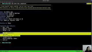 odo describe component: display remote source code location for container component