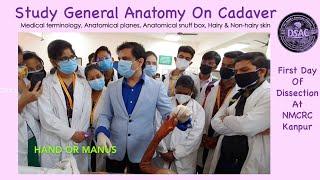 Study general anatomy on cadaver, First day at dissection hall, Medical & anatomical terminology