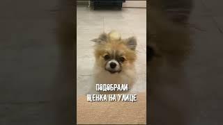 #ыспайбит #музыка #music #топ #песни #видео #рек #песня #шутка #смех #приколы