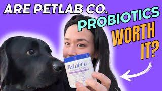 Do PetLab Co.'s Probiotic Chews Actually Work? - Honest Review