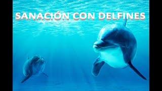 Música relajante | Sanación con delfines + Ondas Binaural Alfa