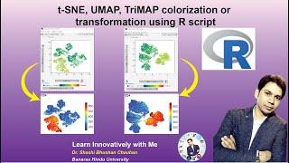 tSNE UMAP TRIMAP colorization or Transformation using R script  #tsne #flowcytometry #RNAseq #FlowJo