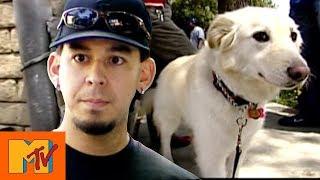 Linkin Park's Mike Shinoda Blocks Dog Rescue | Punk'd