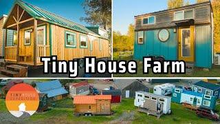 Family's Amazing Tiny House Life - Building, Advocacy & Tiny Hotel!