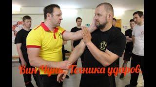 Wing Chun Stikhiya.   Прикладной Вин Чунь -  техника ударов.