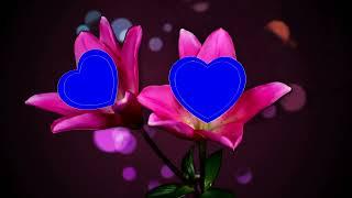 Flower Blue Screen Projects,new wedding green screen,fcpx 3d effect,New green screen,