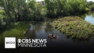 Crews find body of missing boy in Minnehaha Creek