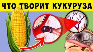 Вот что творит Кукуруза с Кровью, Сосудами, Потенцией, Кишечником и Даже...