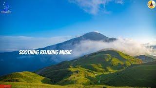 Soothing Relaxing Music For Stress Relief, Anxiety and Depressive States • Heal Mind, Body and Soul