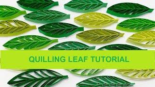 Quilling leaf tutorial