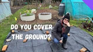 Should I Use Mulch OR Ground Cover - Allotment Beginners UK