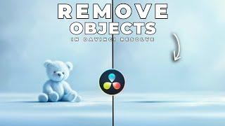 How To REMOVE OBJECTS From VIDEO In Davinci Resolve