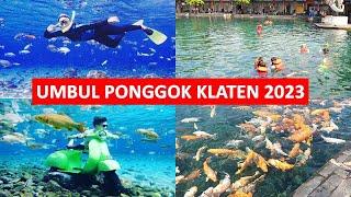 UMBUL PONGGOK KLATEN 2023 SENSASI BERENANG & FOTO BERSAMA IKAN | WISATA REKOMENDASI DI JAWA TENGAH