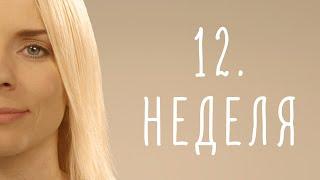 12. неделя беременности