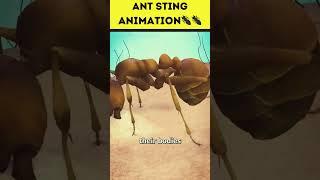 How Do Ants Bite?|ant sting Animation|#shorts #facts #shortsfeed