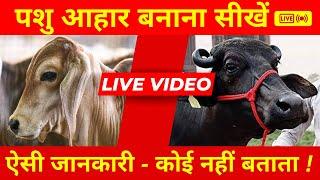 CATTLE FEED MACHINE - Live Pashu Aahar Banane ki Samasyaon Ka Samadhan