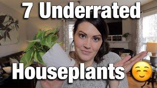 7 Underrated Houseplants - My Favorite Underrated Houseplants