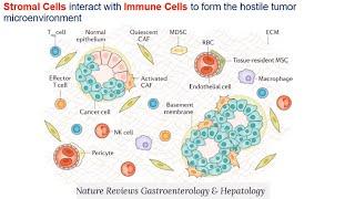 Deciphering Immuno-Oncology:  Targeting Cellular Mechanisms of the Tumor Immune Response