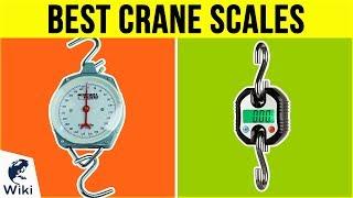9 Best Crane Scales 2019