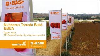 Nunhems Tomato Bush EMEA