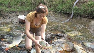 Top Fishing Videos: Fishing Harvesting Many Big Fish In The Wild, Go To Sell At Village Market