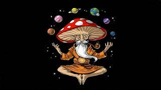 Psychedelic Goa Psytrance @ Meditation "MUSHROOMS" MIX 2021