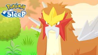 HOW TO PREPARE FOR ENTEI RESEARCH - Pokémon Sleep Research