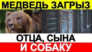 Медведь пробрался на дачный участок и до смерти загрыз отца, сына и собаку