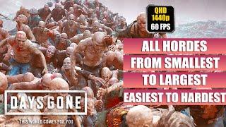 Days Gone [ALL HORDES - Easiest to Hardest - Smallest to Largest] Ranked By Size & By Difficulty PC