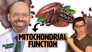 Dr. Greger: Cocoa for Muscle & Mitochondrial Function - Fact or Fiction?