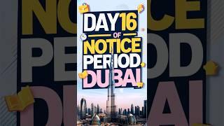 GOVERNMENT JOBS IN DUBAI FOR INDIAN| Day 16/30 Notice Period  |#iamhvr #dubaijobs #30daynoticeperiod