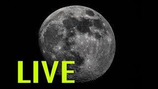 LIVE Moon Watching - Backyard Astronomy from the UK - Dobsonian Telescope