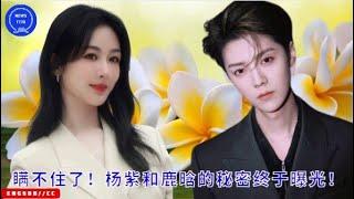 瞒不住了！#杨紫 和#鹿晗 的秘密终于曝光！#yangzi #LuHan