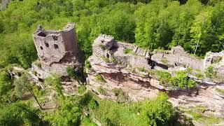 Elsass - Burgruine Wasigenstein