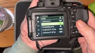 Point and Shoot Nature Photography: Setting your Nikon P&S for Birds and Wildlife