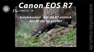 TIERAUGEN AF TEST/DEMO CANON EOS R7 - hat die wirklich den Autofokus von der EOS R3 geerbt?