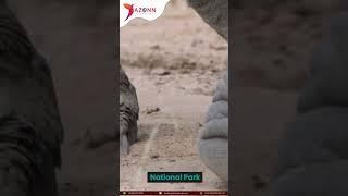 Top 10 National Parks in India | National Parks in India | Dazonn Travels