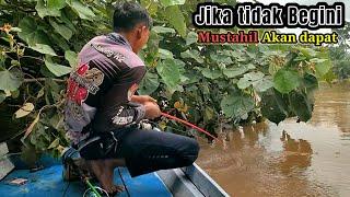 MANCING!!! 2 Hari Berburu Baung Geso Di saat Sungai banjir Akhirnya Dapat Babon